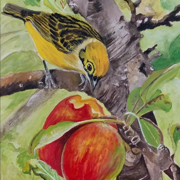Handmade Original Bird EatingMango